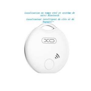 Localisateur Bluetooth (LP01)